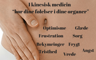 Detox din krop, følelser og tanker, så du mærker ro, tryghed og tillid i dig selv