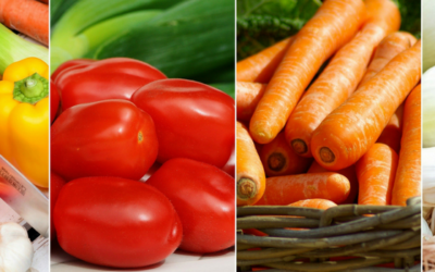 Hvad er detox