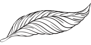 fjer-4